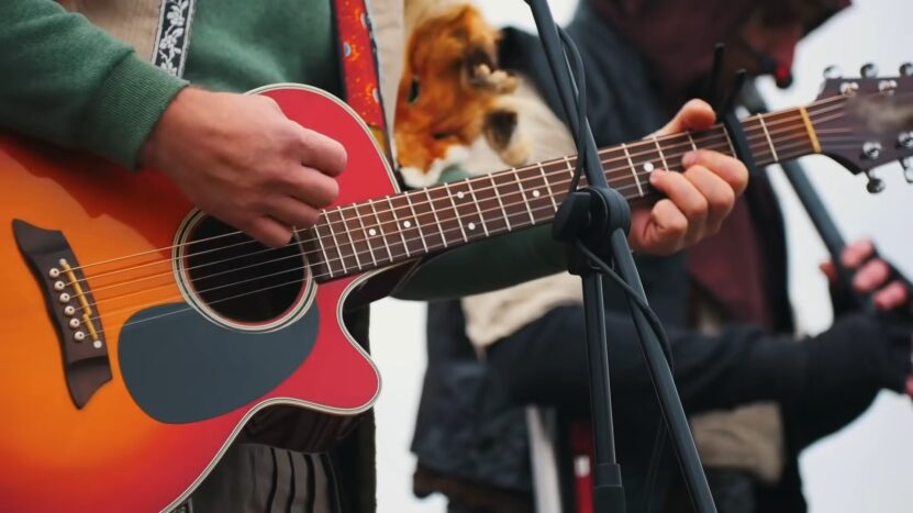 Guitar