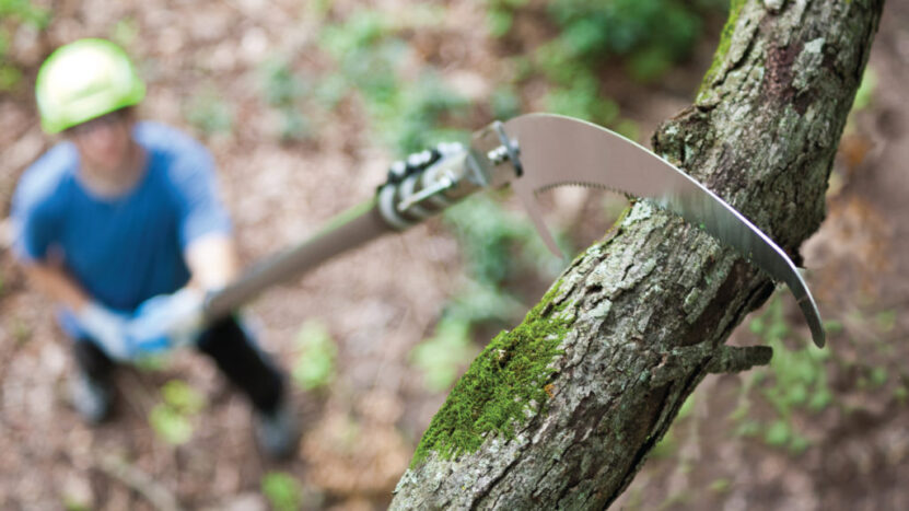 long-reach pruner