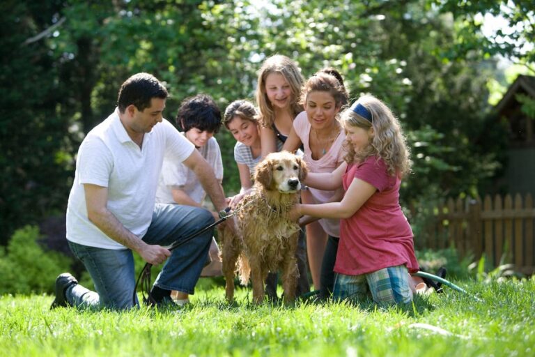 UK Family Traditions: Building Stronger Connections