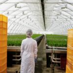 Large Plastic Trough Is an Essential Investment for Modern Agriculture