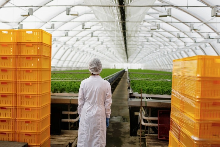 Large Plastic Trough Is an Essential Investment for Modern Agriculture