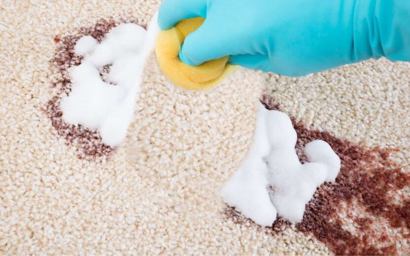 Clean-strains-on-carpet